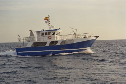 Barco de Pesca Palangreiro de Superfície photo 1